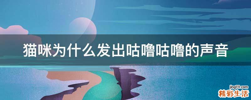 猫咪为什么发出咕噜咕噜的声音