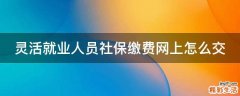 灵活就业人员社保缴费网上怎么交
