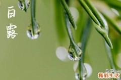 2023年白露白露未曦是什么时间 白露的现象