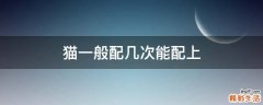 猫一般配几次能配上
