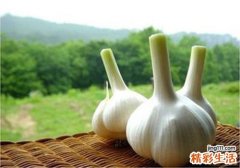 大蒜吃多了有什么副作用