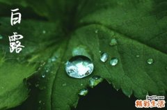 白露秋燥吃什么 2023年白露是什么时候