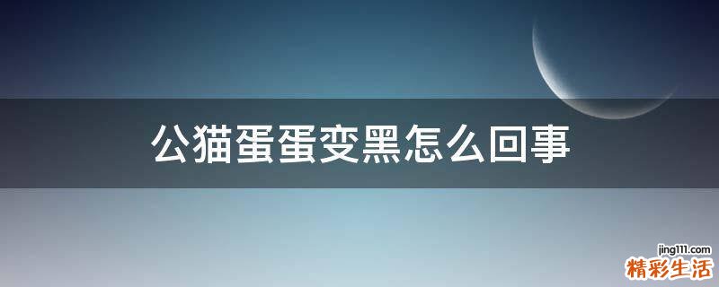 公猫蛋蛋变黑怎么回事