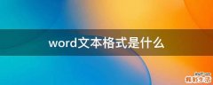 word文本格式是什么