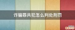 诈骗罪共犯怎么判处刑罚