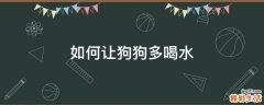 如何让狗狗多喝水