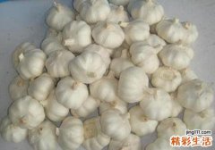 大蒜可以治脚气吗