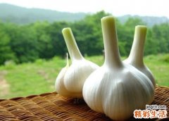 大蒜怎么吃最好 生吃大蒜更杀菌