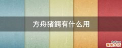 方舟猪鳄有什么用