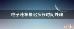 电子违章最迟多长时间处理