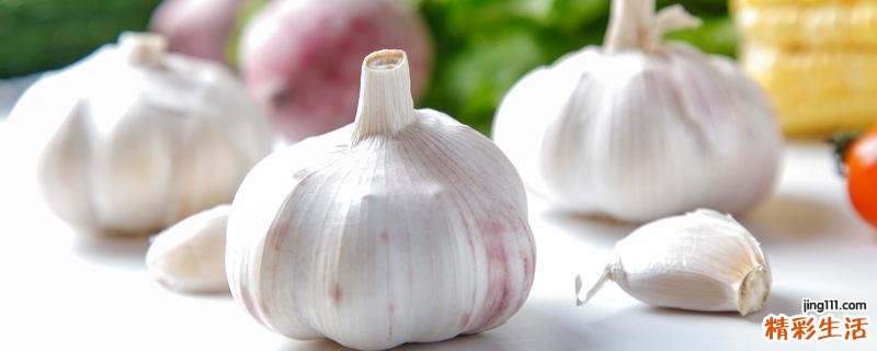 大蒜怎么保存不发芽 大蒜发芽能吃吗