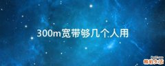 300m宽带够几个人用
