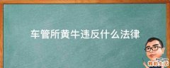 车管所黄牛违反什么法律