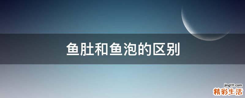 鱼肚和鱼泡的区别