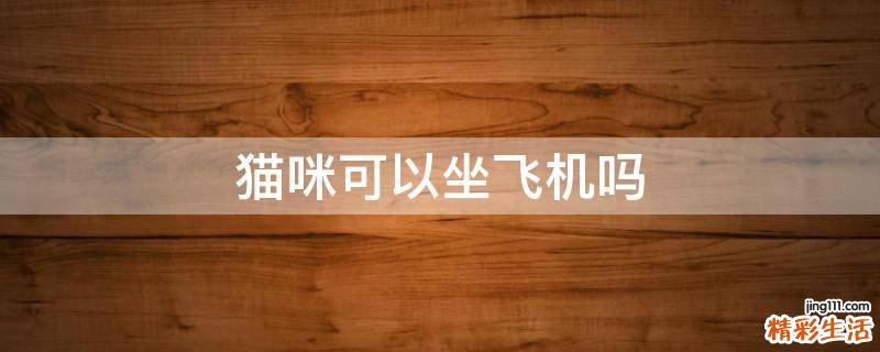 猫咪可以坐飞机吗