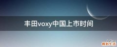 丰田voxy中国上市时间