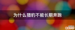 为什么猎豹不能长期奔跑