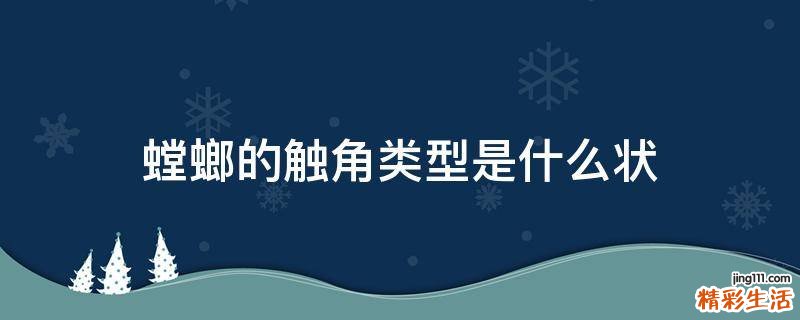 螳螂的触角类型是什么状