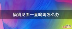 俩猫见面一直呜呜怎么办