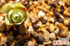 2 中医六经辨证