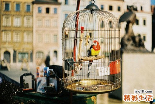 【天然美白食材】天然美白食材让肌肤通透白皙