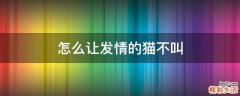 怎么让发情的猫不叫