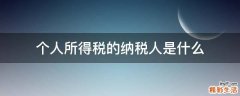 个人所得税的纳税人是什么