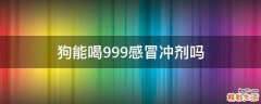 狗能喝999感冒冲剂吗