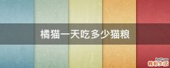 橘猫一天吃多少猫粮