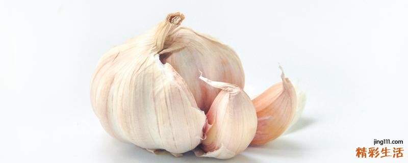 大蒜被冻成透明状还能吃吗 大蒜怎么保存不发芽不干瘪