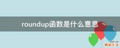 roundup函数是什么意思
