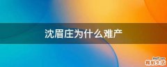 沈眉庄为什么难产