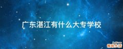 广东湛江有什么大专学校