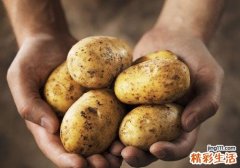 马铃薯和土豆的区别