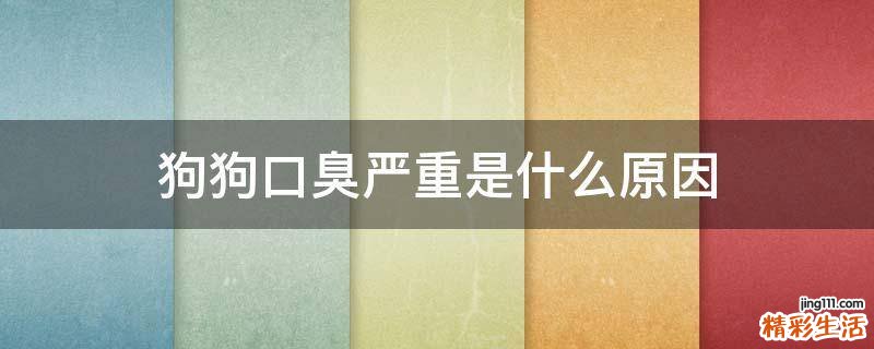 狗狗口臭严重是什么原因