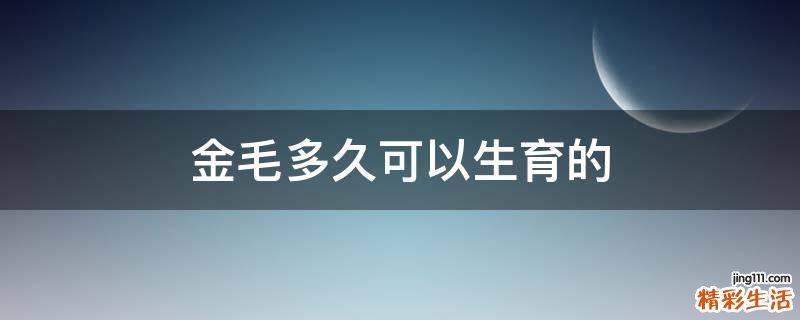 金毛多久可以生育的