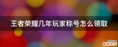 王者荣耀几年玩家称号怎么领取
