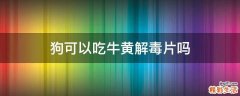 狗可以吃牛黄解毒片吗