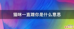 猫咪一直蹭你是什么意思