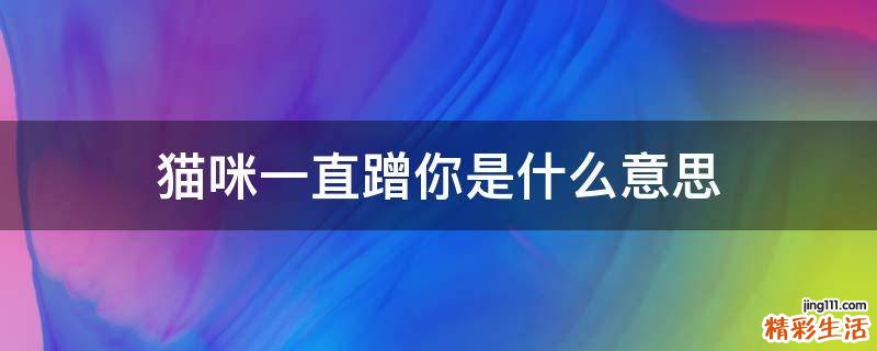 猫咪一直蹭你是什么意思
