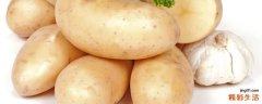 土豆没熟能吃吗