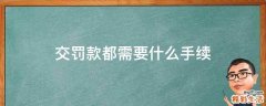 交罚款都需要什么手续