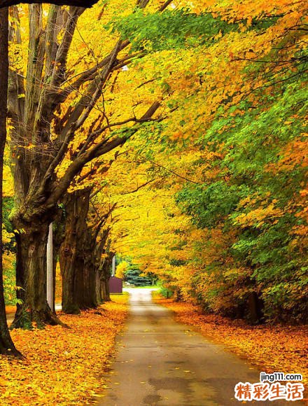 外貌苍老的原因_外貌苍老是怎么引起的