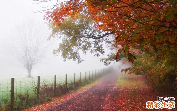 DIY美白去斑面膜