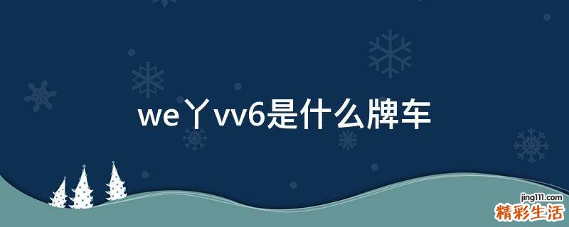 we丫vv6是什么牌车
