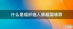 什么是组织他人偷越国境罪