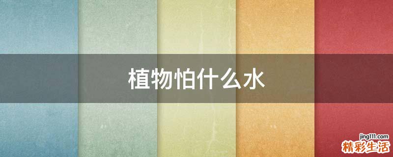 植物怕什么水