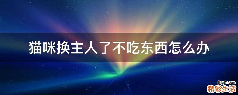 猫咪换主人了不吃东西怎么办