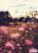 手术治疗肾囊肿利弊分析