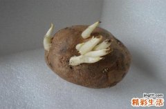 吃发芽的土豆会怎样